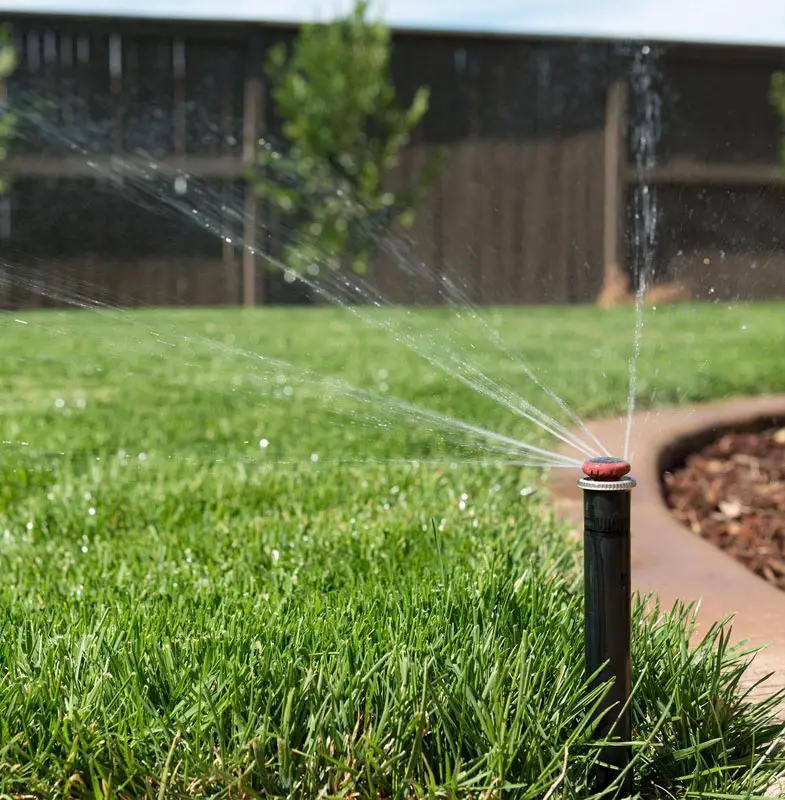 How To Water Lawn In Arizona : Arizona grass typesSprinkler Doctors ...