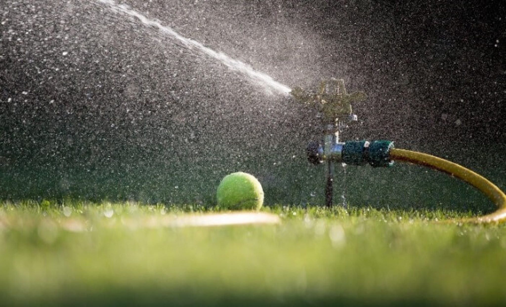 How to Water Your Lawn  A Useful Guide