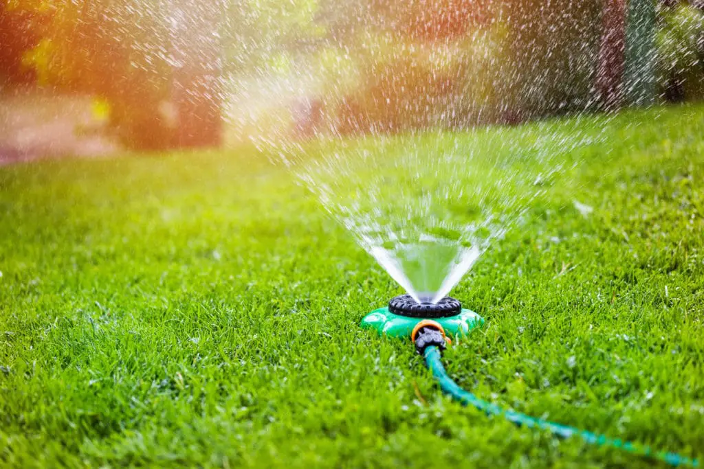 How to Water Your Lawn in Hot, Dry Summer Weather