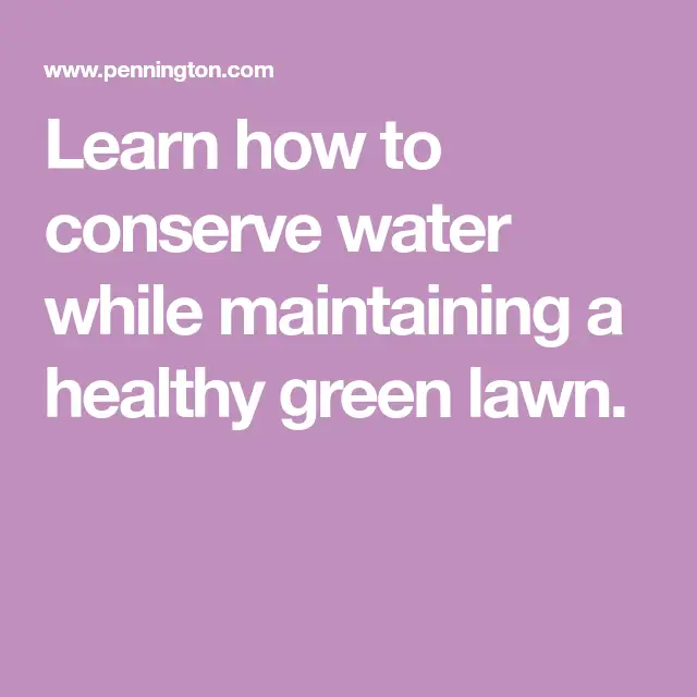 How to Water Your Lawn Wisely