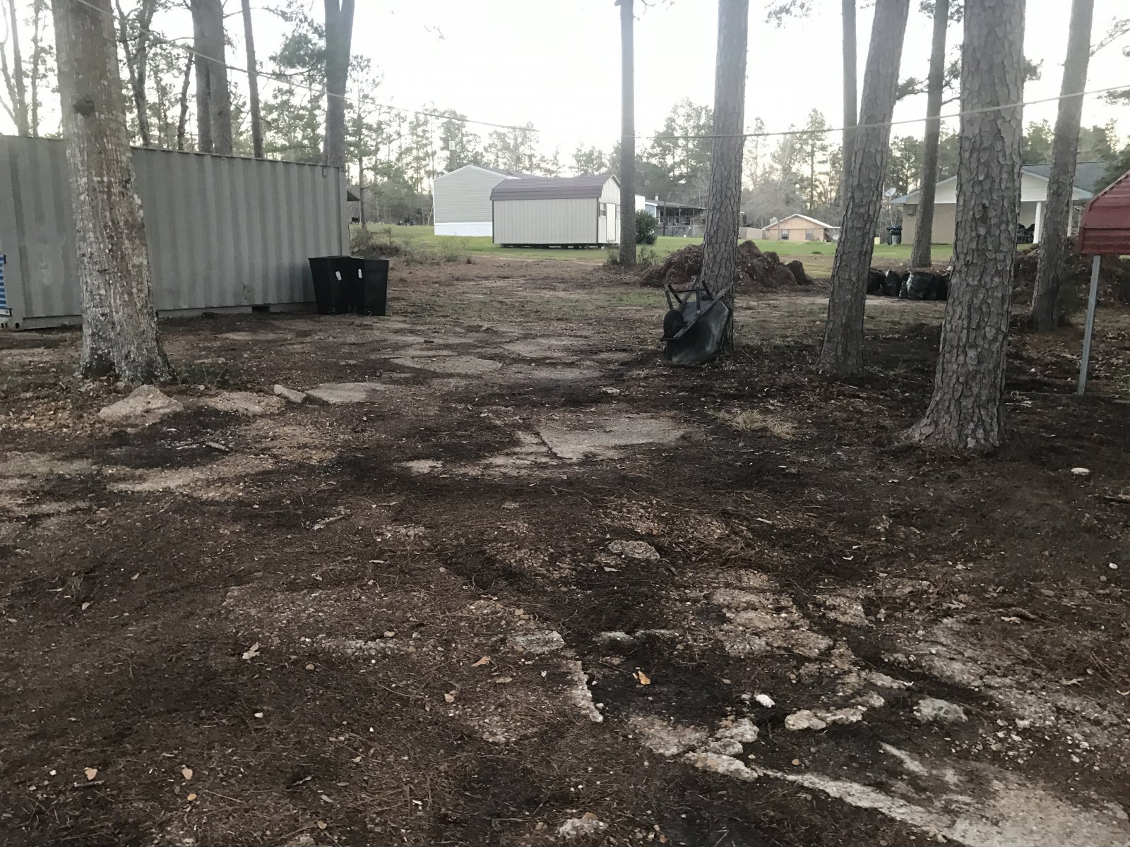 Huge pine needle and leave removal