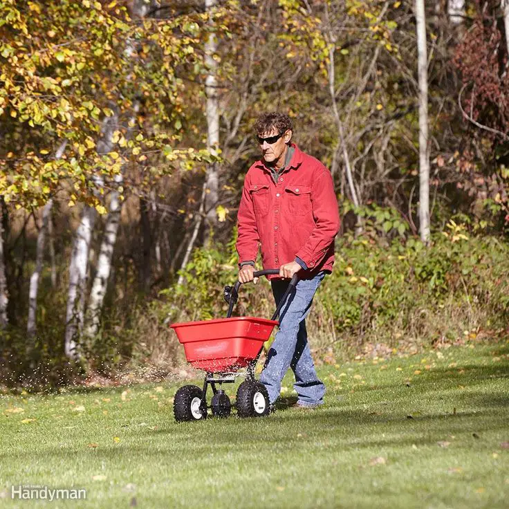 If you fertilize your lawn only when you think it needs it, when you ...