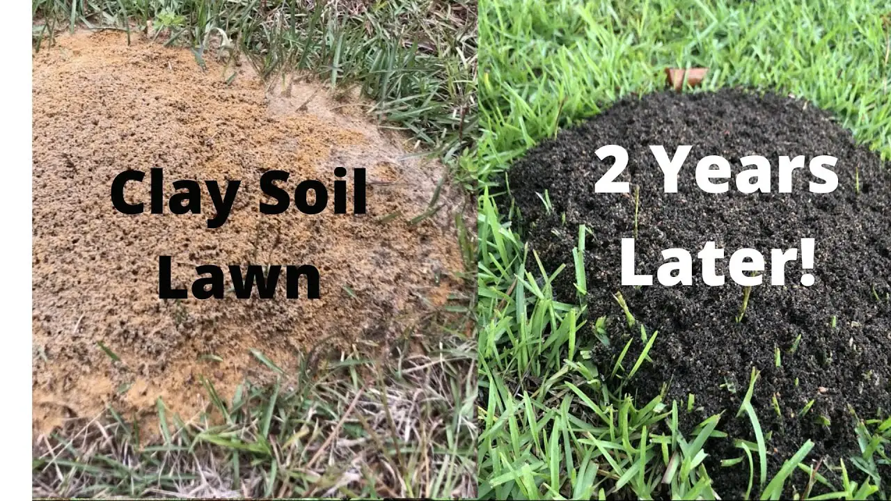 Improve Your Clay Soil Lawn
