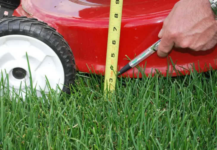 Is it Cheaper to Pay Someone to Mow Your Lawn?