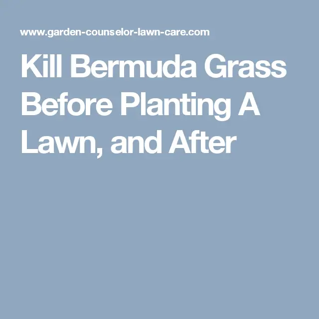 Kill Bermuda Grass Before Planting A Lawn, and After