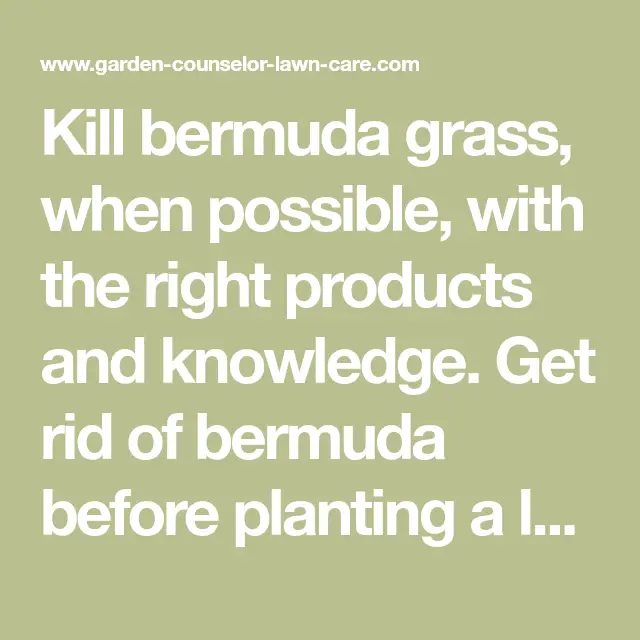 Kill bermuda grass, when possible, with the right products and ...