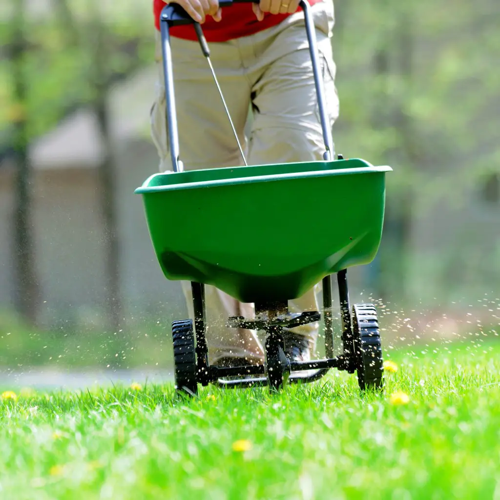 Kill Weeds and Protect Your Grass Year