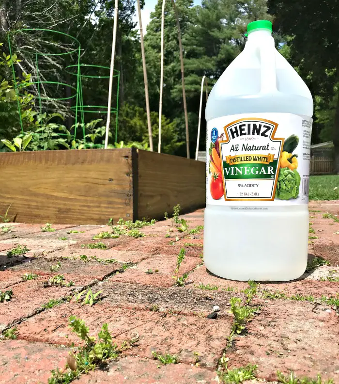Kill Weeds Naturally with Vinegar
