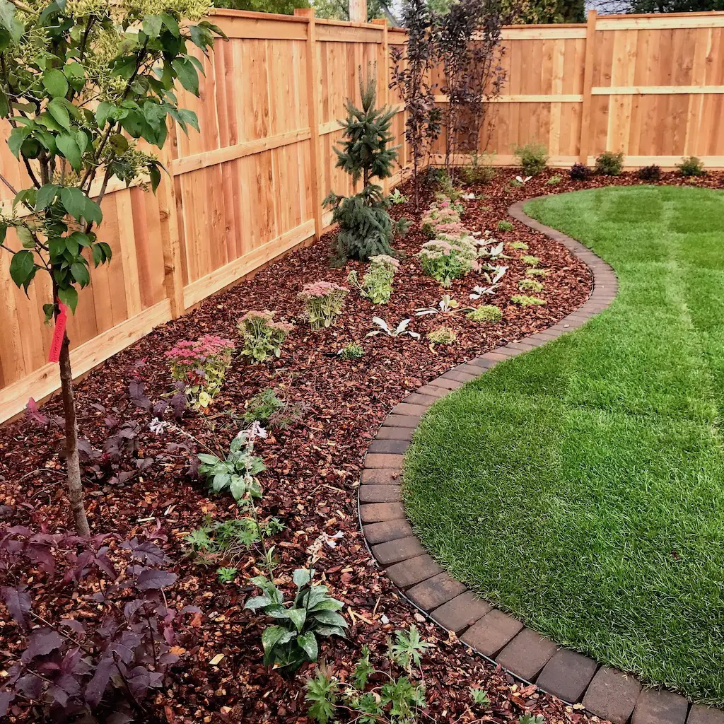 Landscape Borders and Beds