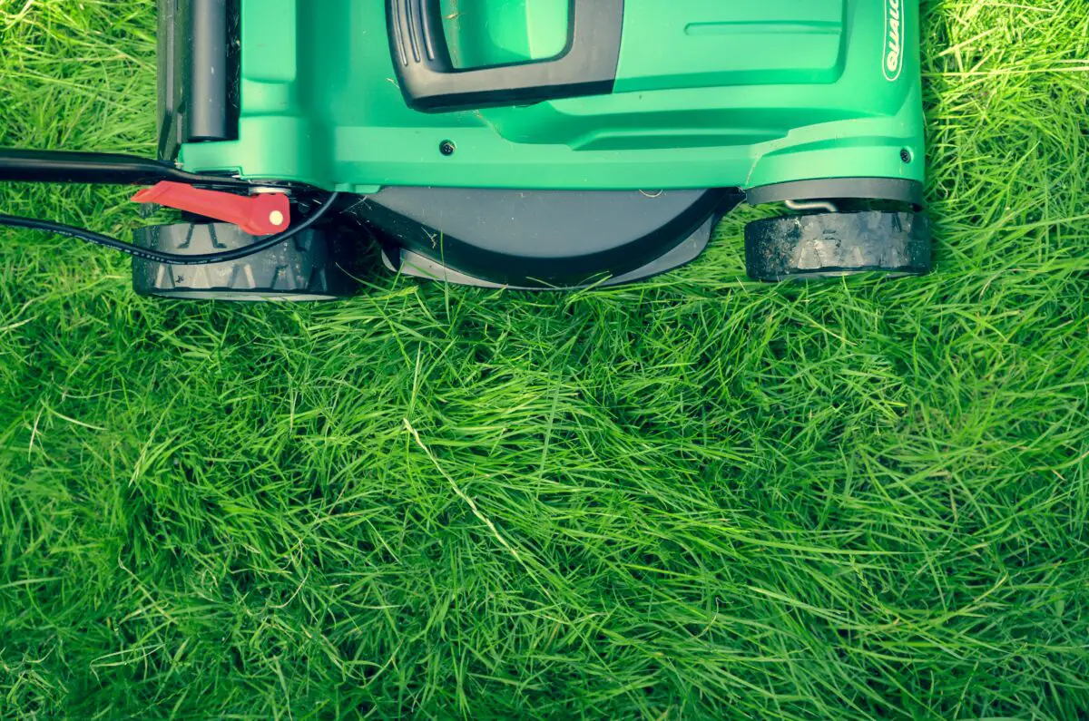 Landscaping: How to Aerate Your Lawn