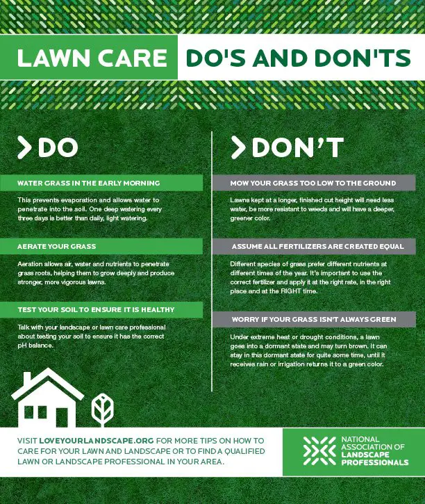Lawn Care Advertising Ideas