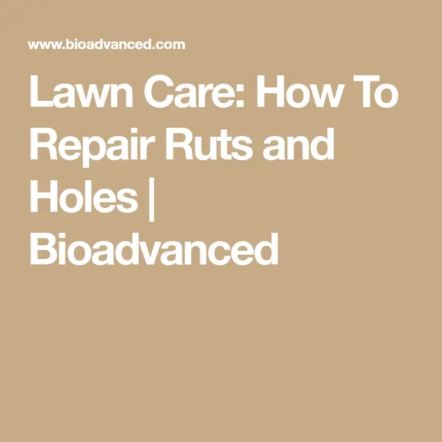 Lawn Care: How To Repair Ruts and Holes