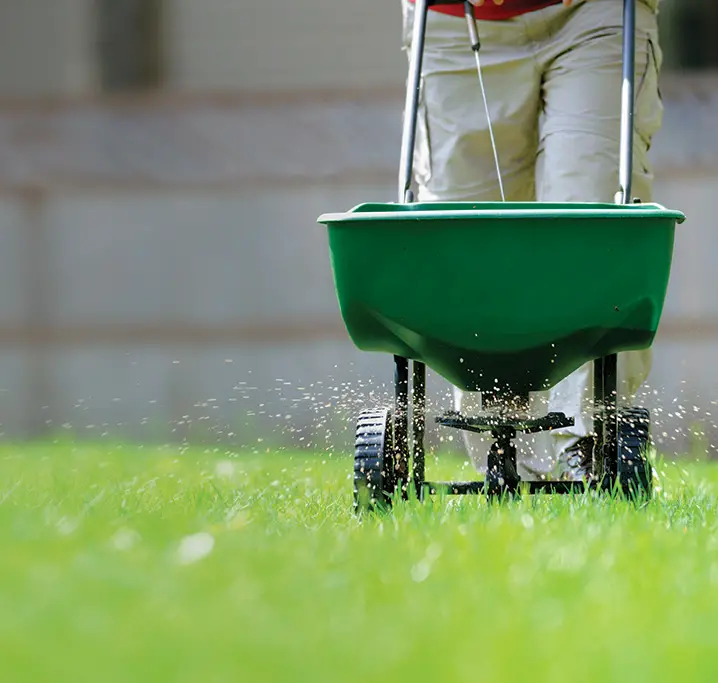 Lawn Care &  Maintenance Tips