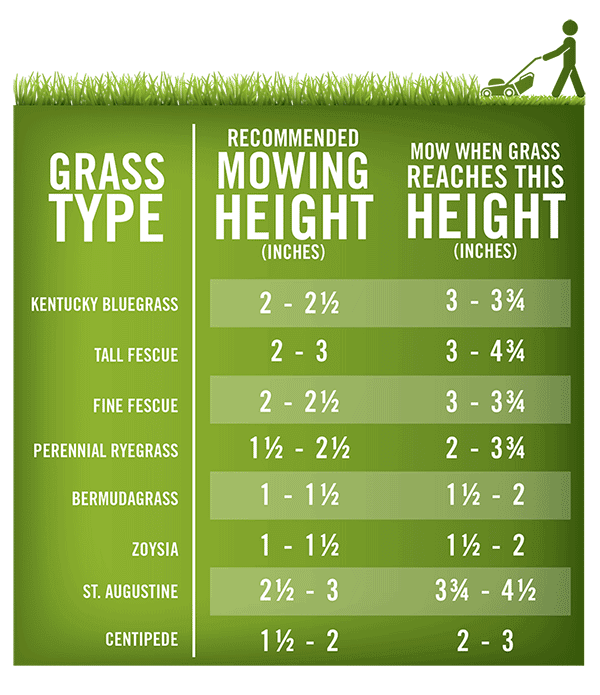 Lawn Care Pricing Chart / Landscape Edging Mow Strips Landscaping ...