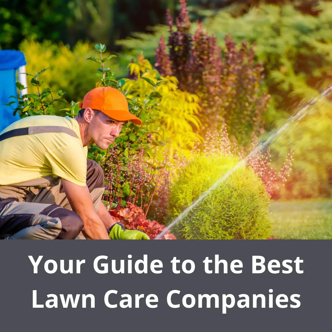 Lawn Care Pricing Guide : Successfully Pricing Lawn Care And Additional ...