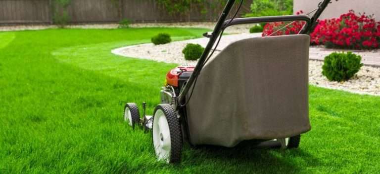 Lawn Care Tips: Year Round Maintenance for a Healthy Lawn