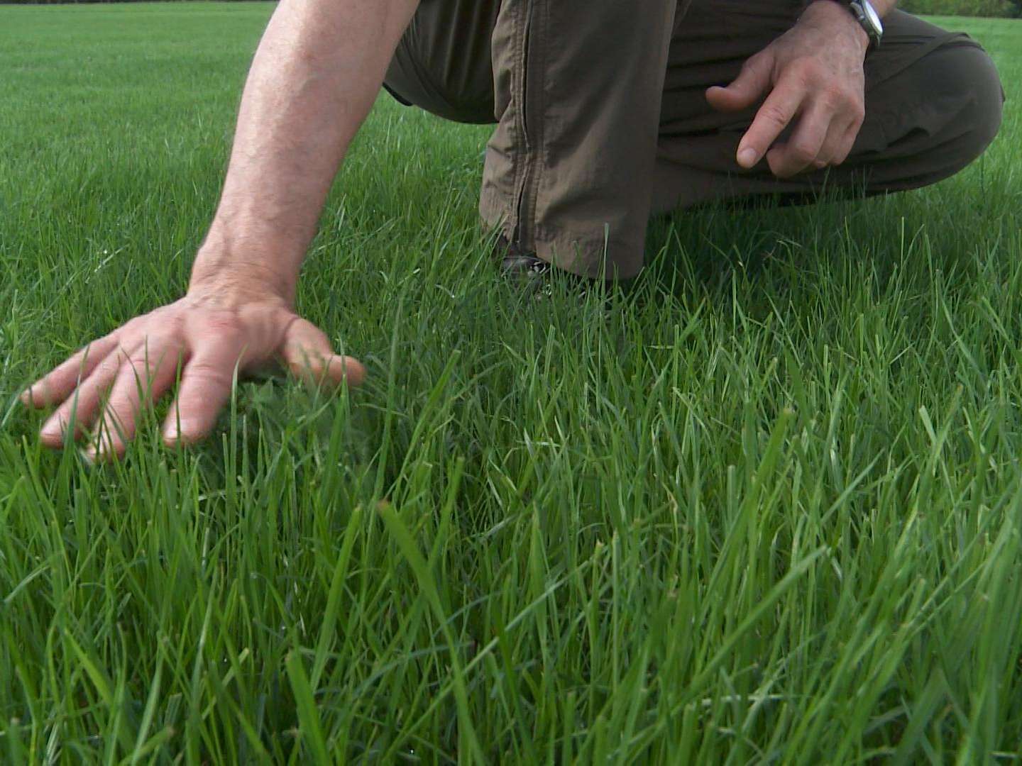 lawn fertilization richmond lexington kentucky