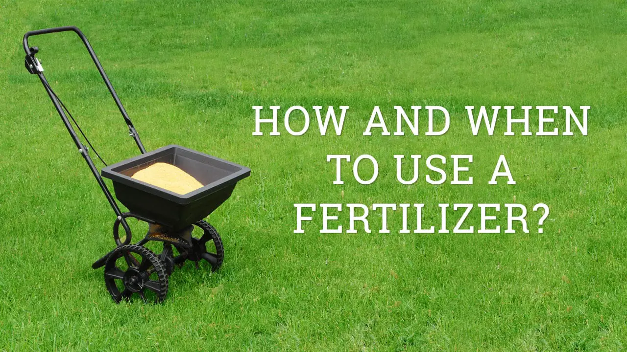 Lawn Fertilizer 101: How and when to use fertilizers in MN ...