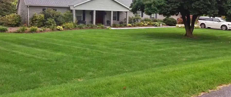 Lawn Fertilizer in Emmaus, PA in 2020