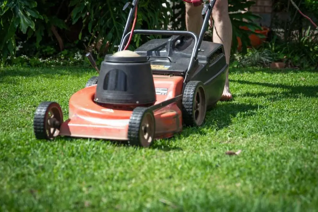Lawn Mower Removal and Disposal Service in Kirkland and King County