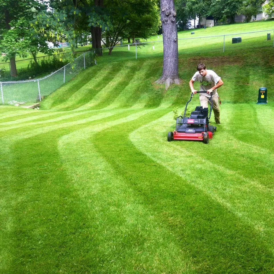 Lawn Mowing and Grass Cutting