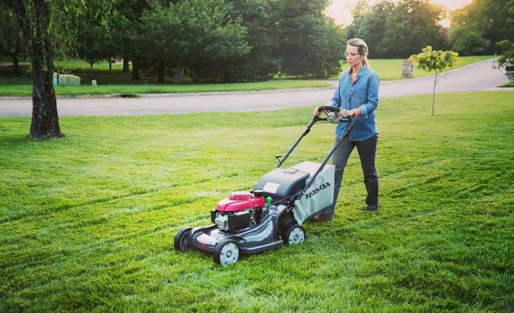 Lawn Mowing For Women, Tips And Reasons Why To Mow Your Own Lawn ...