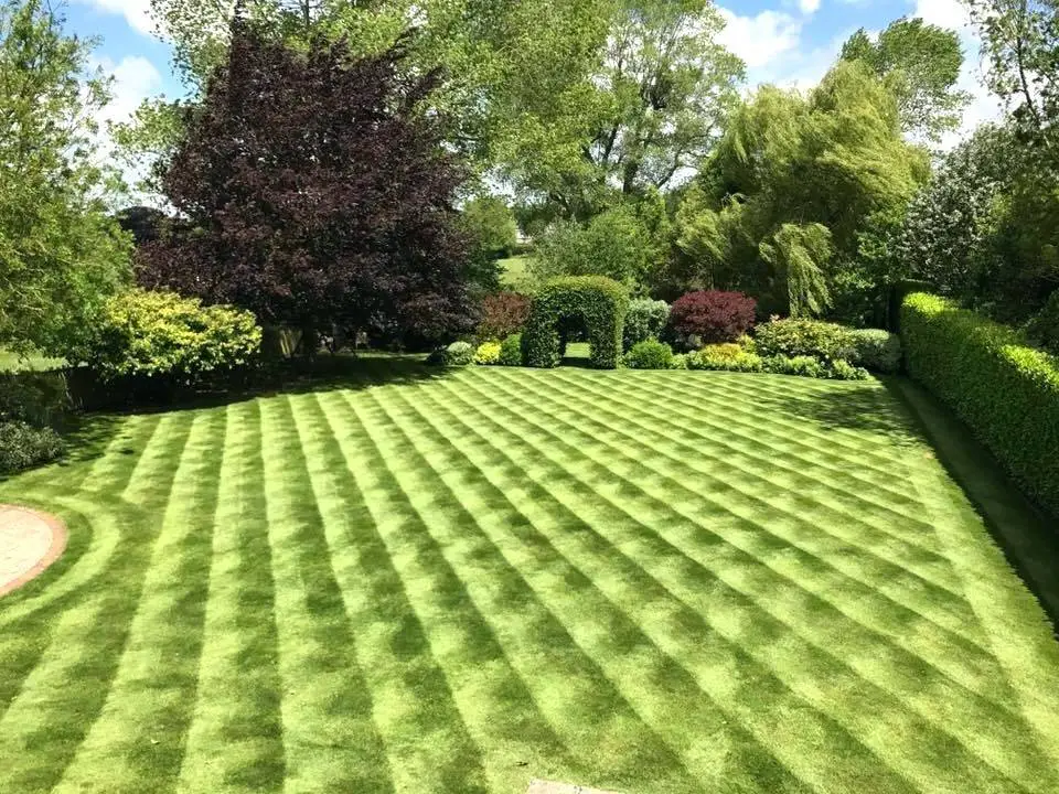 Lawn Mowing Patterns Stripes Zero