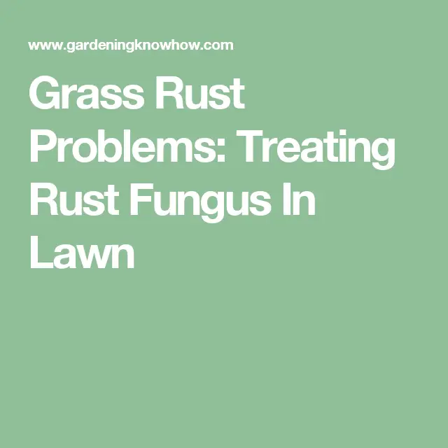 Lawn Rust â Identifying And Treating Grass Rust Fungus