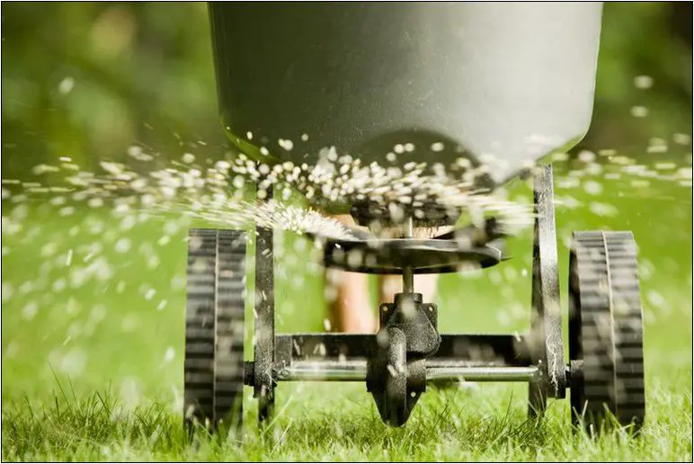 Lawn Service Insurance Rates