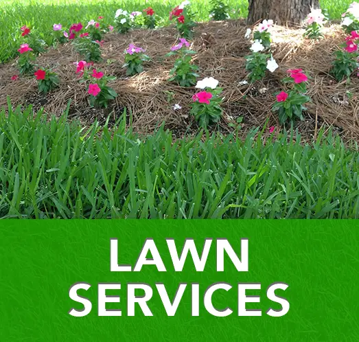 Lawn Solutions of Sumter