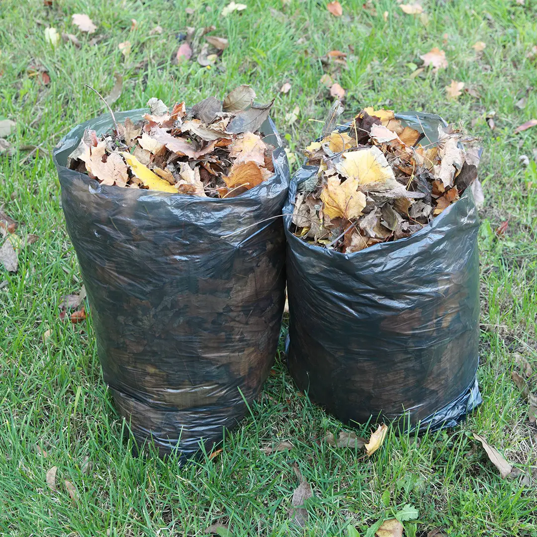 Lawn Waste: Tips and Tricks for Collecting Yard Debris
