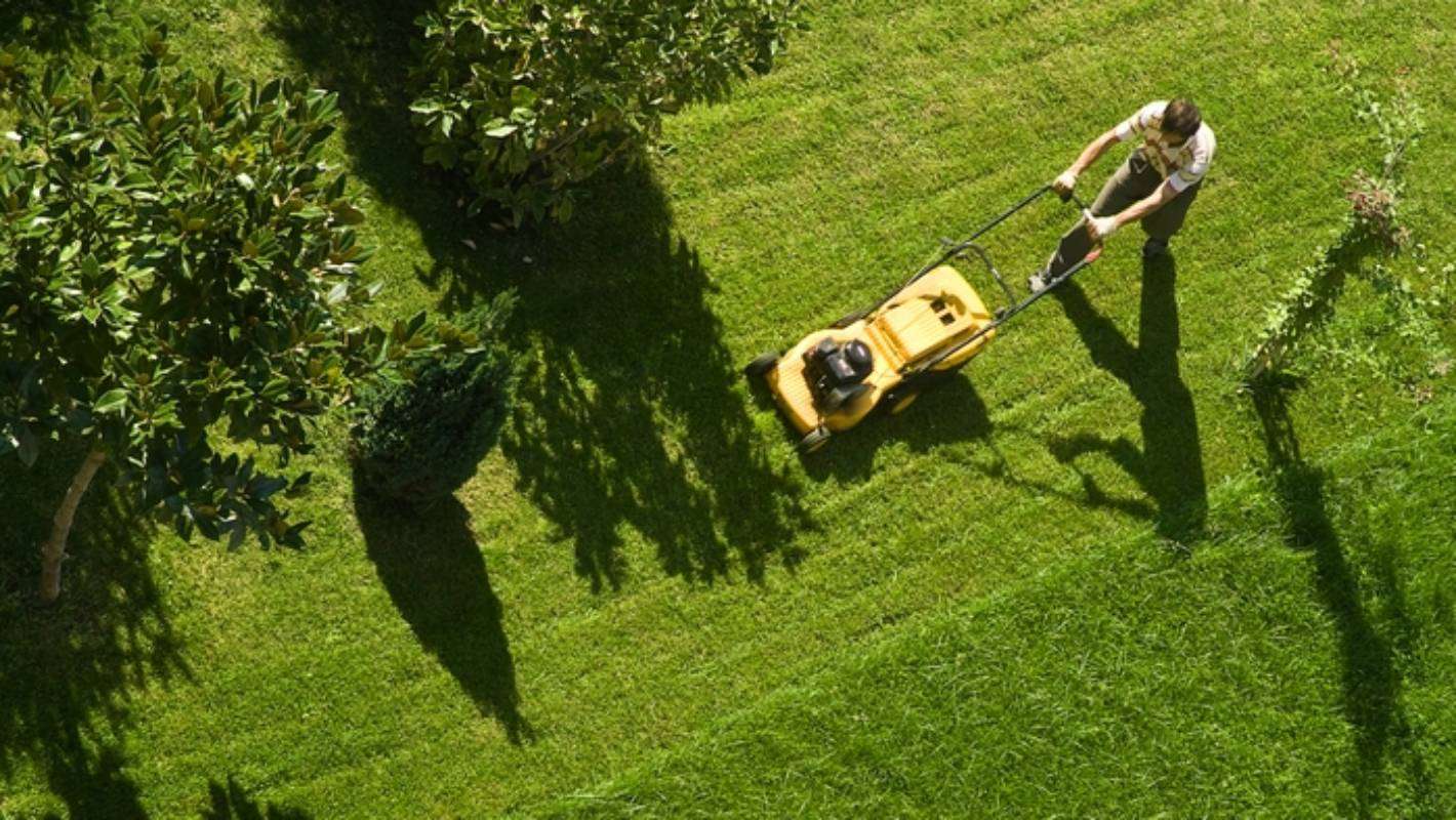 Lawnmowing can be a thing of the past, but it will cost you