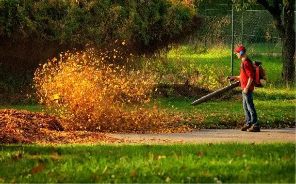 Leaf Removal &  Yard Clean Up Cost