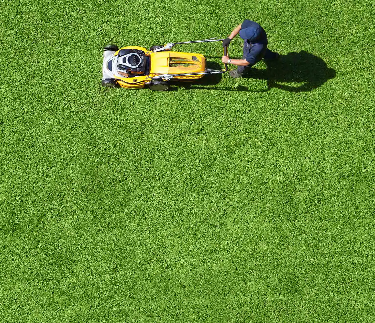 Learn How to Properly Mow Your Lawn