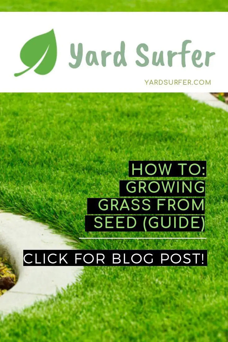 Learn the best way how to grow green grass from seed ...