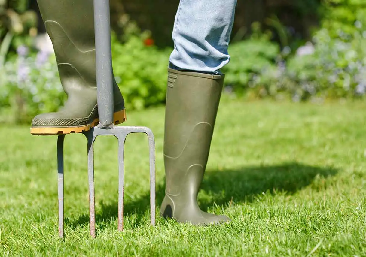 Lessons for Aerating Your Lawn
