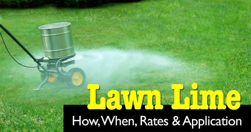 Lime For Lawns