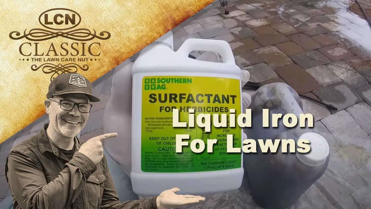 Liquid Iron For Lawns