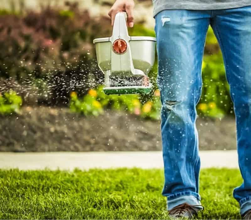 Liquid Lawn Fertilizer Vs Granular: Whats The Difference &  Which Is ...
