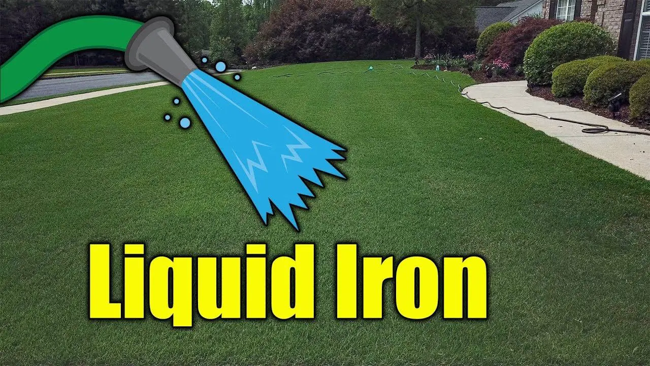 Make Grass Green with Liquid Iron
