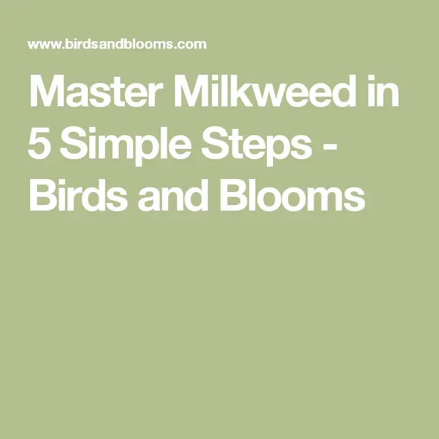 Master Milkweed in 5 Simple Steps
