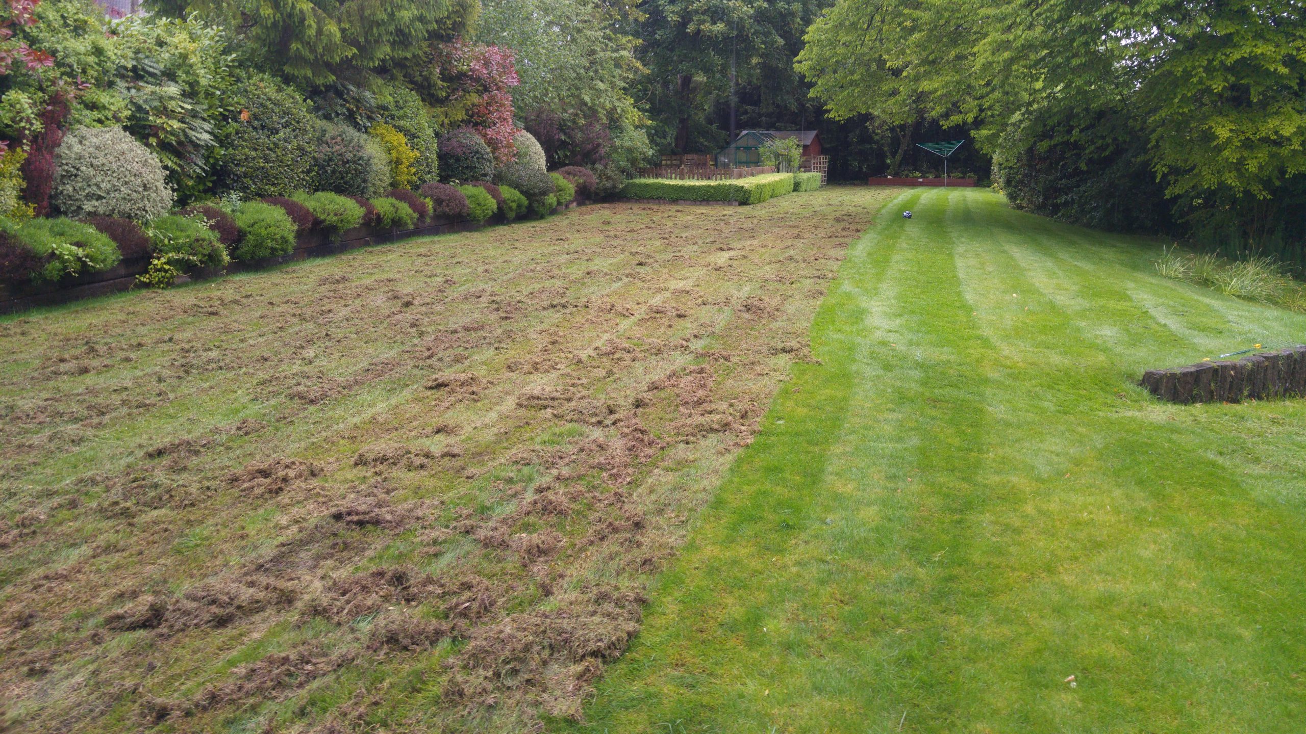 Moss Removal &  Moss Control