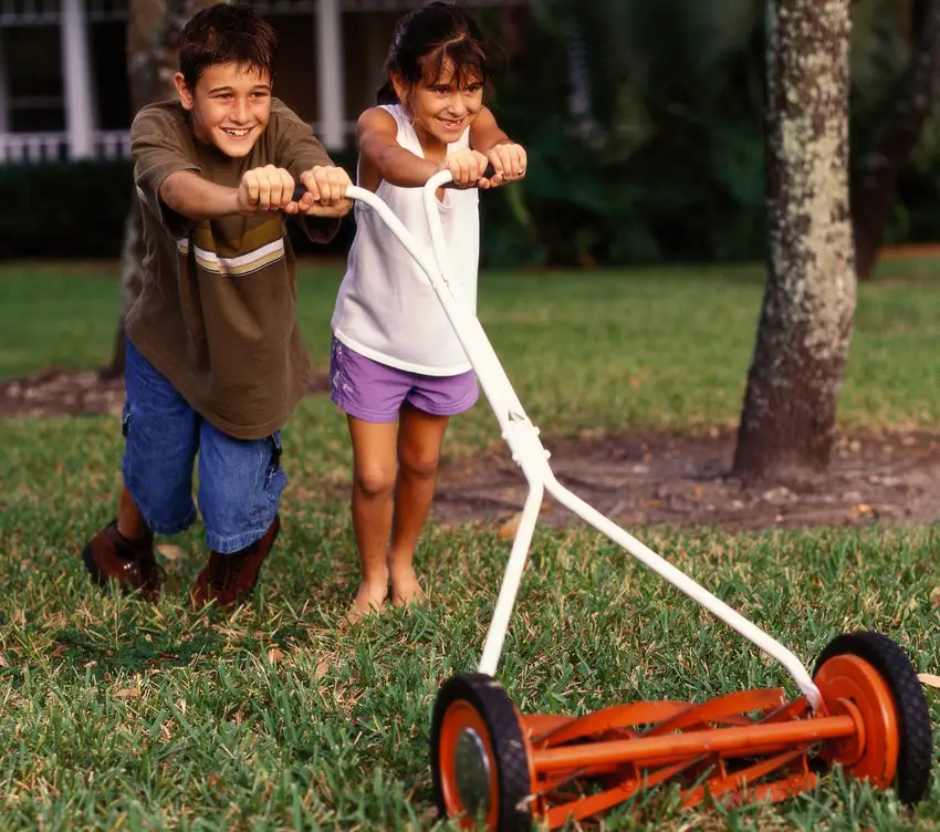 Mow, grow, water, weed: Is your lawn safe for first steps?