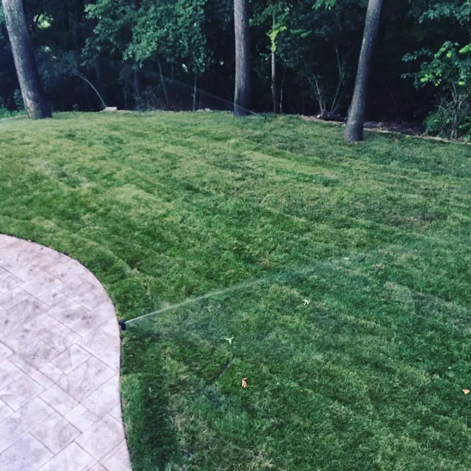 New Lawn Installations Sod, Seed, Or Turf St. Louis MO