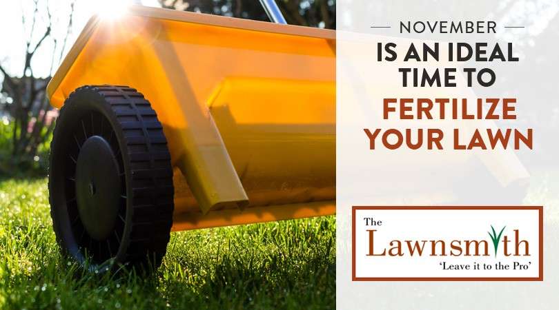 November is a Great Time to Fertilize Your Lawn