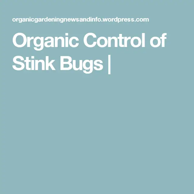Organic Control of Stink Bugs
