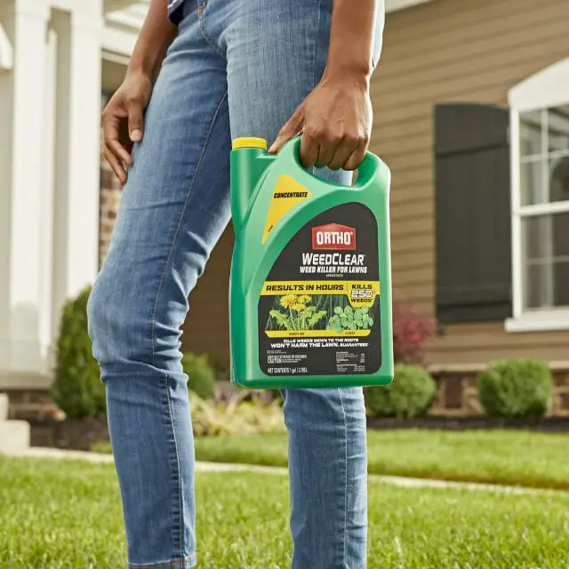 Ortho® WeedClear Weed Killer for Lawns Concentrate