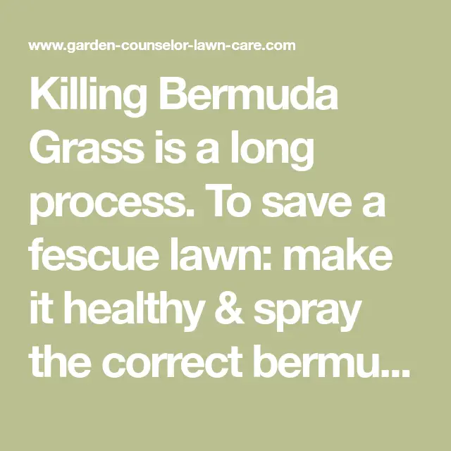Pin on Bermuda grass killer