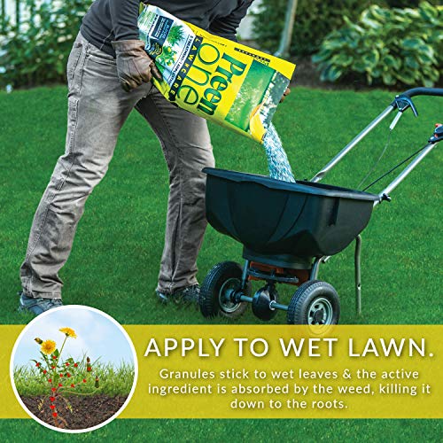 Preen 2164169 One LawnCare Weed &  Feed