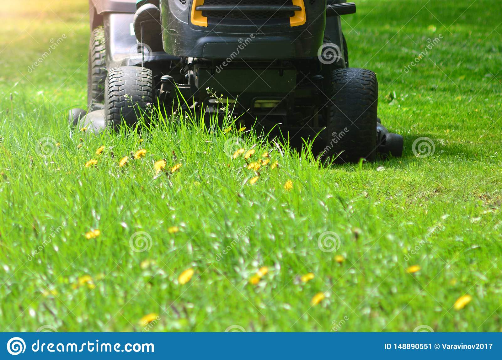 Professional Lawn Mower Grass Cutting Close Up Stock Image ...